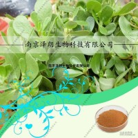 马齿苋提取物压片糖果，SC认证厂家，代加工固体饮料厂家