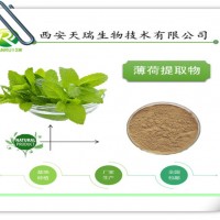 薄荷提取物的价格是多少