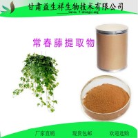 常春藤提取物   常春藤粉  一公斤起订