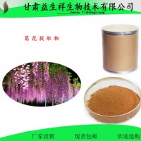 葛花提取物       一公斤起订     量大从优