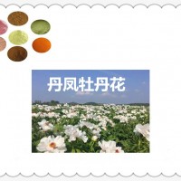 丹凤牡丹花提取物价格