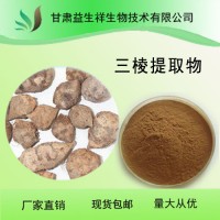 三棱提取物  红蒲根粉 京三棱粉 三棱提取物