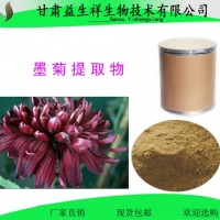 墨菊提取物  墨菊提取液  1公斤起订   甘肃益生祥