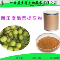 醋栗提取物 10:1 醋栗粉 一公斤起订