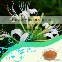 金银花提取物，南京泽朗厂家现货