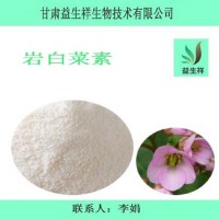 岩白菜素98%   岩白菜提取物