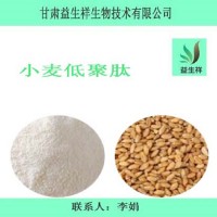 小麦低聚肽 小麦肽 1公斤起订
