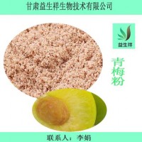 青梅粉 速溶果粉 浓缩汁 固体饮料  甘肃益生祥