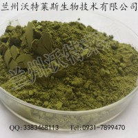 大麦若叶粉 大麦若浓缩液 大量库存  批发价格