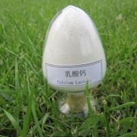 郑州瑞普食品级低微生物L乳酸钙
