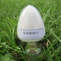 食品级葡萄糖酸钙 原料 国标 供应 - 郑州瑞普