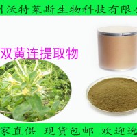 双黄连提取物 10:1  双黄连粉  现货供应