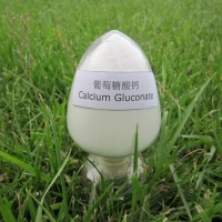 食品级葡萄糖酸钙 原料 国标 价格 - 郑州瑞普