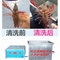 武汉嘉鹏生产供应超声波清洗小龙虾清洗机