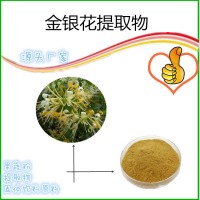 金银花粉全水溶 浓缩提取 现货供应 金银花绿原酸