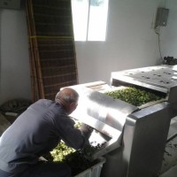 葛根粉微波杀菌机  葛根粉微波杀菌机厂家 葛根粉杀菌机参数