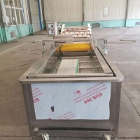 翠绿宝豆荚清洗速冻加工线