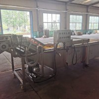 珊瑚菜清洗机加工厂家