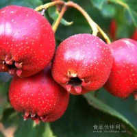 山楂香精 Hawthorn flavor