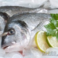 供应鱼类保鲜剂