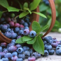 供应蓝莓 越桔 蓝莓冻果 蓝莓冻干果