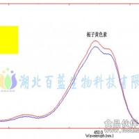 90％出口日韩——栀子黄色素