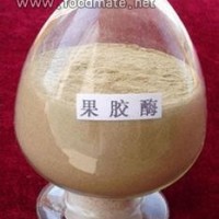 供应果胶酶 果胶酶生产厂家