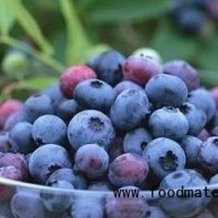 蓝莓国胶大量现货供应，蓝莓国胶价格