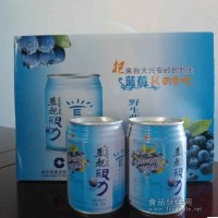 蓝舰视力蓝莓饮料值得饮料代理商关注的饮料