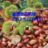 迁西栗子批发，燕山板栗招商