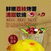 黑河无皮烤薯项目加盟电话，地瓜坊加盟费用，特色奶茶技术