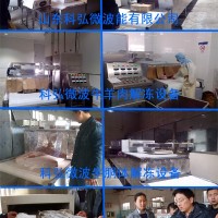 微波解冻设备合作项目开发及应用