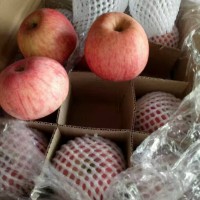 冷库红富士苹果产地价格行情，冷库纸袋红富士苹果批发价格