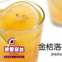 济宁致爱丽丝加盟资料有吗