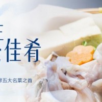 暗纹东方豚诚招全国各地代理经销商，合作伙伴