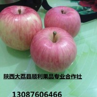 陕西高原红膜袋红富士苹果大量招商