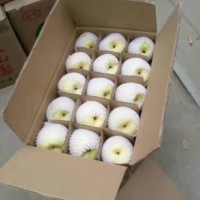 陕西冷库砀山酥梨4两以上纸箱包装大荔县产地大量招商