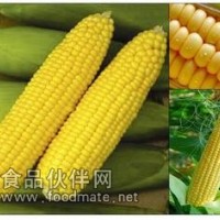 精品：葡萄糖/食用葡萄糖/无水葡萄糖/西王葡萄糖全国销售