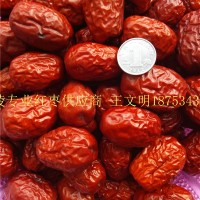 寻求乐陵金丝小枣厂家加盟商