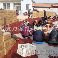 天然无核小枣产地寻求批发商