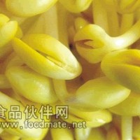 新农村绿色蔬菜—小金黄豆芽河南地区诚招代理商