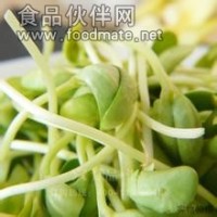新农村绿色蔬菜—黑豆芽诚招代理商