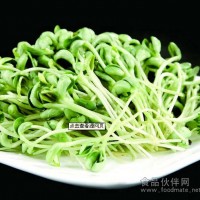 新农村绿色蔬菜—黑豆苗河南地区诚招代理商