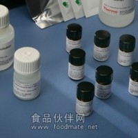 α-淀粉酶测定试剂盒，进口现货