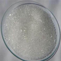 L-谷氨酸生产厂家 食品级L-谷氨酸