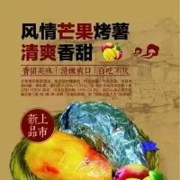 陕西榆林泉城烤薯加盟条件，地瓜坊加盟电话，烤地瓜烤薯加盟网址