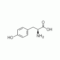 L-酪氨酸