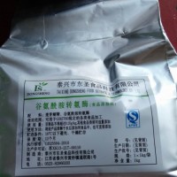 厂家批发TG酶，TG酶的价格 谷氨酰胺转氨酶102型