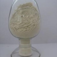 真菌淀粉酶 食品级真菌α淀粉酶 α淀粉酶厂家