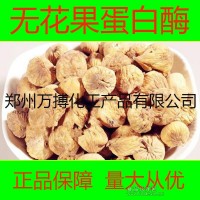 食品酶制剂 无花果蛋白酶价格
